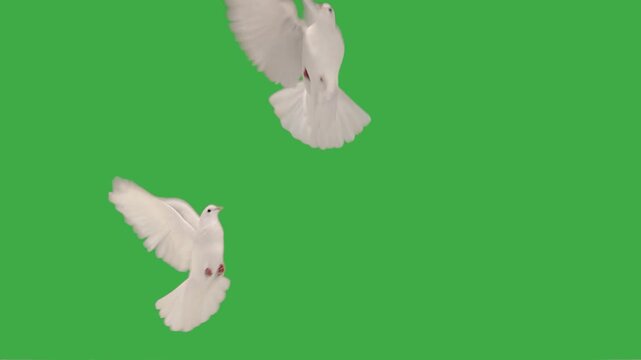 5th wedding anniversary flying doves white balloons foil balloon number five green screen