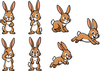 vector illustration of hare jackrabbit funny cute cartoon mascot character cartoon with 7 poses © weng