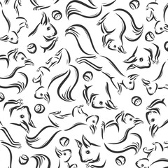 Squirrel background, pattern set. Collection icons squirrel. Vector