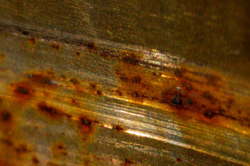 녹슨 철에 세밀한 접사