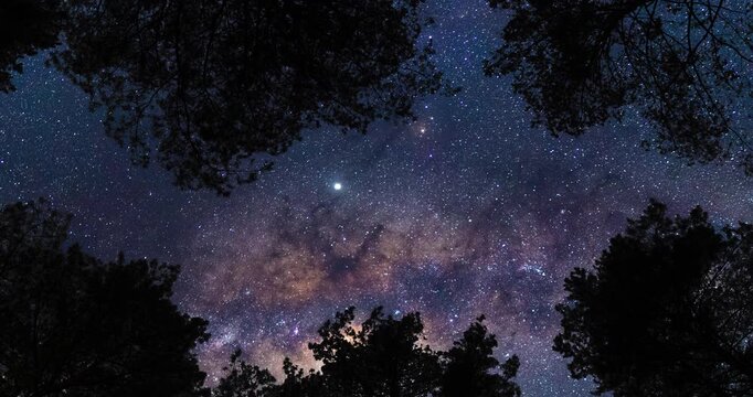 Bottom view on Milky Way from forest. Timelapse shot, Earth rotation concept. Camera is moving bottom