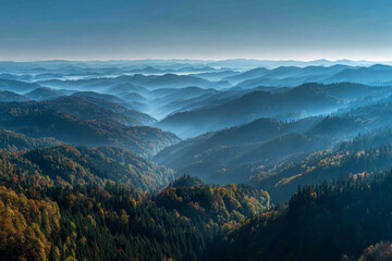 Fototapeta premium Majestic misty mountains autumnal forest scenic view vast landscape