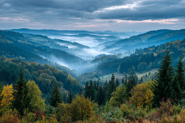 Fototapeta premium Misty mountain landscape autumn forest view scenic hills rolling fog clouds sky
