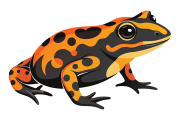 Vibrant Poison Dart Frog Illustration Showcasing Striking Black and Orange Pattern A Colorful Amphibian Design For Nature Enthusiasts