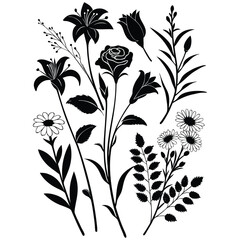 Elegant silhouette botanical flowers and leaves arrangement for artistic design projects