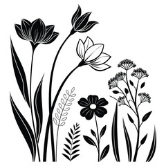 Elegant black and white floral arrangement botanical line art sketch design