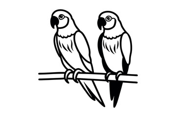 two parrots perched together on branch silhouette