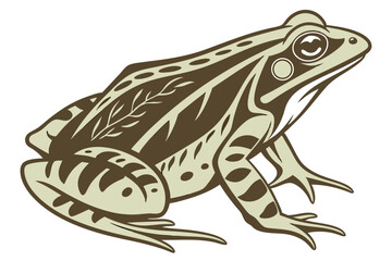 Stylized Vector Illustration of a Green Frog with Detailed Markings, Depicting Wildlife and Nature Imagery in Artistic Form