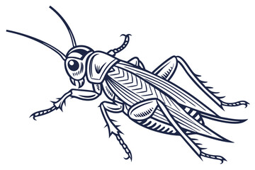 Detailed Vector Illustration of a Cricket with Intricate Line Work and Anatomical Accuracy showcasing the insect's distinct features