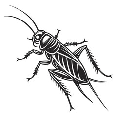 Detailed Vector Illustration of a Cricket with Prominent Antennae and Textured Legs Against a White Background, Showcasing Intricate Line Work