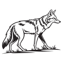 Striking Black and White Vector Illustration of a Coyote Walking Gracefully Across a Field, with Grass Accentuating its Natural Habitat