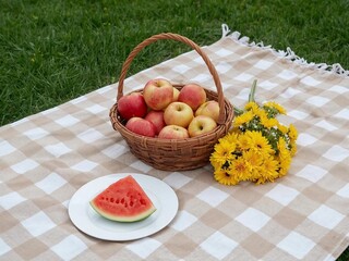 blanket with basket of apples, yellow chrysanthemums and watermelon for picnic