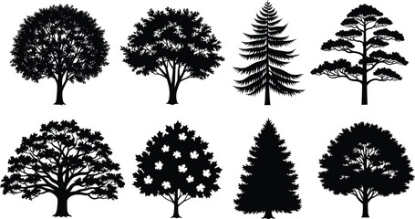 Fototapeta premium Tree silhouettes collection, black and white illustration, botanical shapes, nature design, foliage variety, forest elements, minimal style, graphic trees, isolated icons