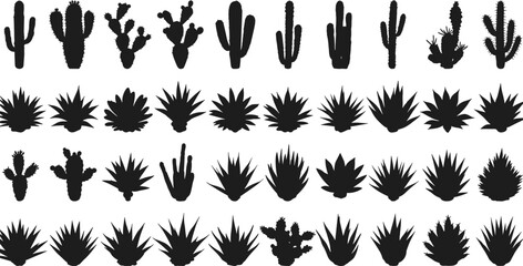 Cactus and agave plant silhouettes, desert flora illustration, botanical design elements, spiky plants, tropical greenery, succulent vector set, nature icons