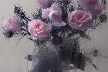 Soft focus  cream beige rose flower bouquet through glass with wet water drops. Abstract natural blur background.