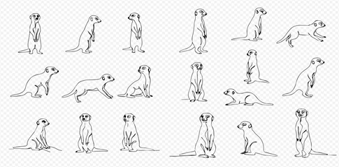 A collection of hand-drawn meerkat line art illustrations, showcasing various poses such as standing, sitting, running, and lying down.