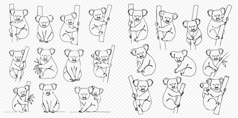 Black and white line art illustrations of cute koalas in various poses, including sitting, climbing, and with a joey. © Lunara Arts