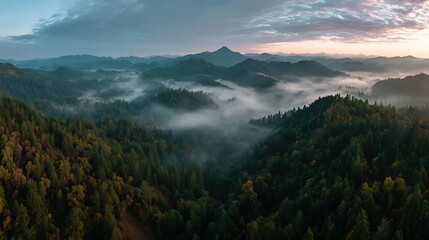 morning in the mountains