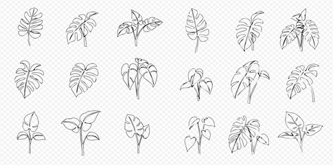 A diverse collection of minimalist line art illustrations depicting various tropical and houseplant leaves.