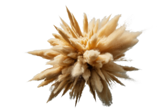 A tan sand explosion against a transparent background, captured in a high-resolution image. background removed