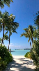 Fototapeta premium A tranquil pathway through lush tropical foliage leads to a serene beach and azure waters.