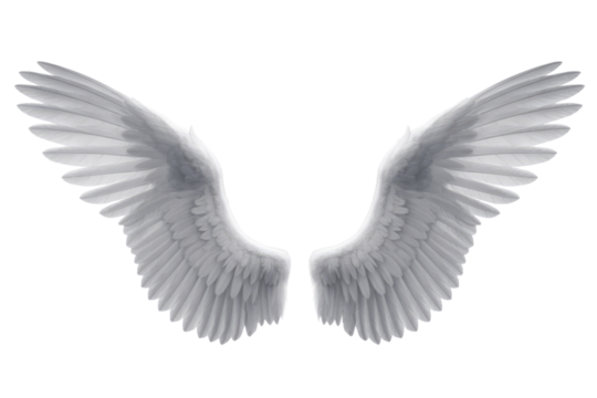 Pair of white angel wings isolated on a transparent background, detailed feathers, symbolic of freedom and spirituality. background removed