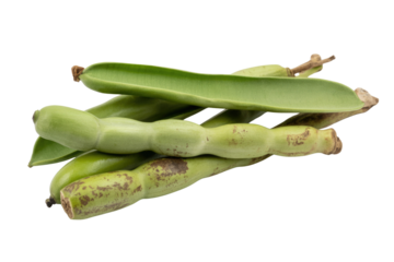 Fresh broad beans with their pods, isolated on a transparent background. background removed