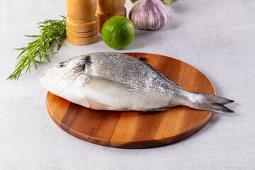 Raw fresh uncooked dorada fish