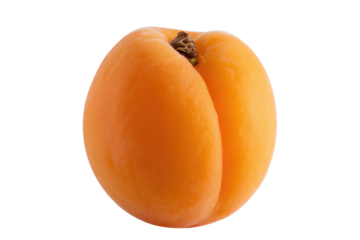A single, ripe apricot isolated on a transparent background, showcasing its vibrant orange hue and velvety texture. background removed