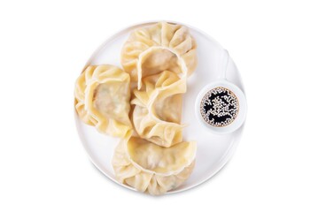 Meat dumplings with sauce in a plate on a white isolated background