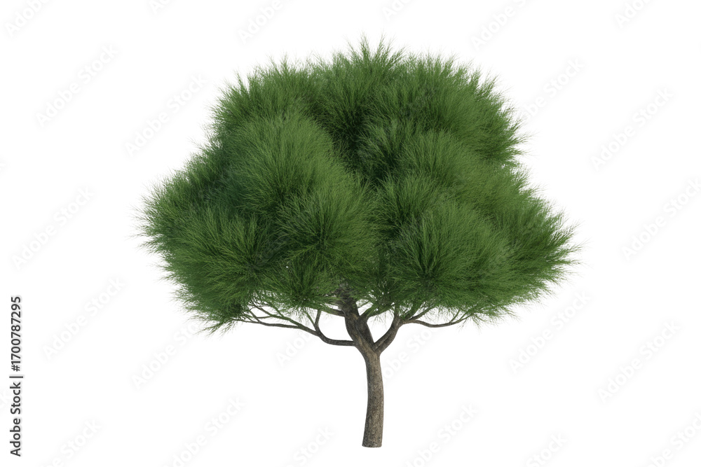 Poster isolated 3d render of a lush green tree with a thick trunk and full foliage, perfect for landscaping