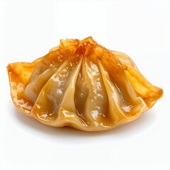 Delicious oriental dumpling with unique folds resting gently on white background