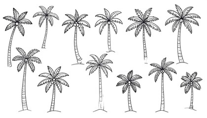A collection of detailed black line drawings of various coconut palm trees, set against a white background.