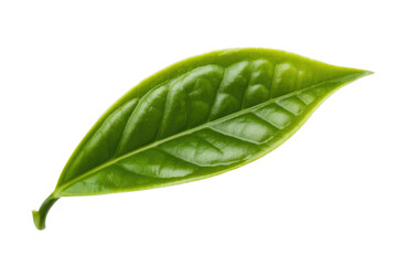A single, vibrant green tea leaf, isolated on a transparent background, showcasing its detailed texture and veins. background removed