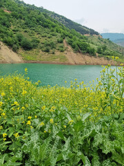 Sulaiman Tangeh Dam Lake in Sari.