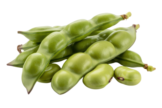A close-up shot of fresh, vibrant green broad beans, showcasing their plump, healthy appearance against a transparent background. background removed