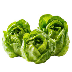 Obraz premium Three green leafy vegetables