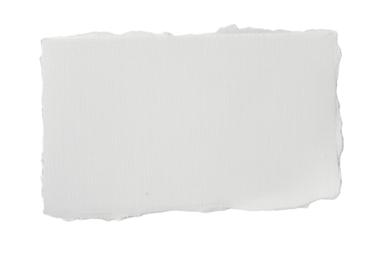 A piece of white, textured paper with torn edges, isolated on a transparent background. background removed