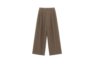 Taupe pleated wide-leg trousers, stylish and comfortable, perfect for any occasion. background removed