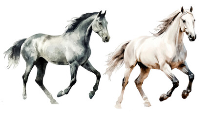 A set of horse watercolors on an isolated white background. Perfect for greeting cards, cliparts, nursery posters, nursery decor, invitations, DIY crafts and fancy animal-themed drawings.