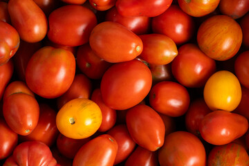 Tomatoes background. Top view of fresh red and yellow tomatoes.