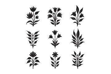 Collection of black silhouette botanical floral illustrations