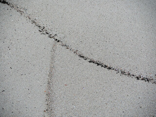 lines of black particles accumulated by waves on a white beach