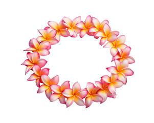 Obraz premium A captivating wreath of plumeria flowers, Symbol of serenity, beauty, and tropical essence