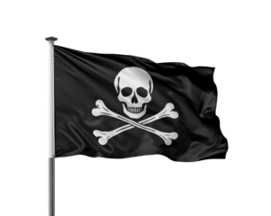A Bold Statement, The Pirate Flag Waving Against the Void, Symbolizing Adventure and Rebellion