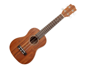 Acoustic charm, A ukulele's warm wood tones resonate on a deep stage setting waiting to play music