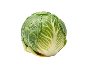 Obraz premium Captivating close up of fresh green cabbage showcasing intricate leaf details and crisp texture