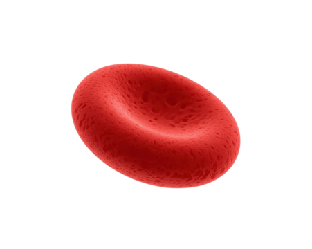 Detailed 3D Render of a Single Human Red Blood Cell Floating in Space for Scientific Purposes