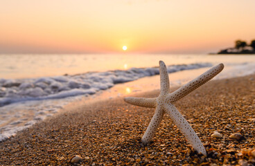 Fototapeta na wymiar Evening seascape. Starfish on the seashore. Selective focus on the star