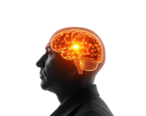 Human brain activity visualization with neural network and connections representing cognition